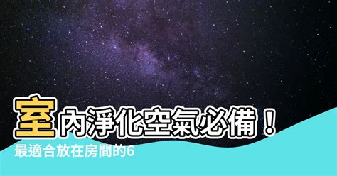 樟木放房間|樟木放房間增旺氣的訣竅